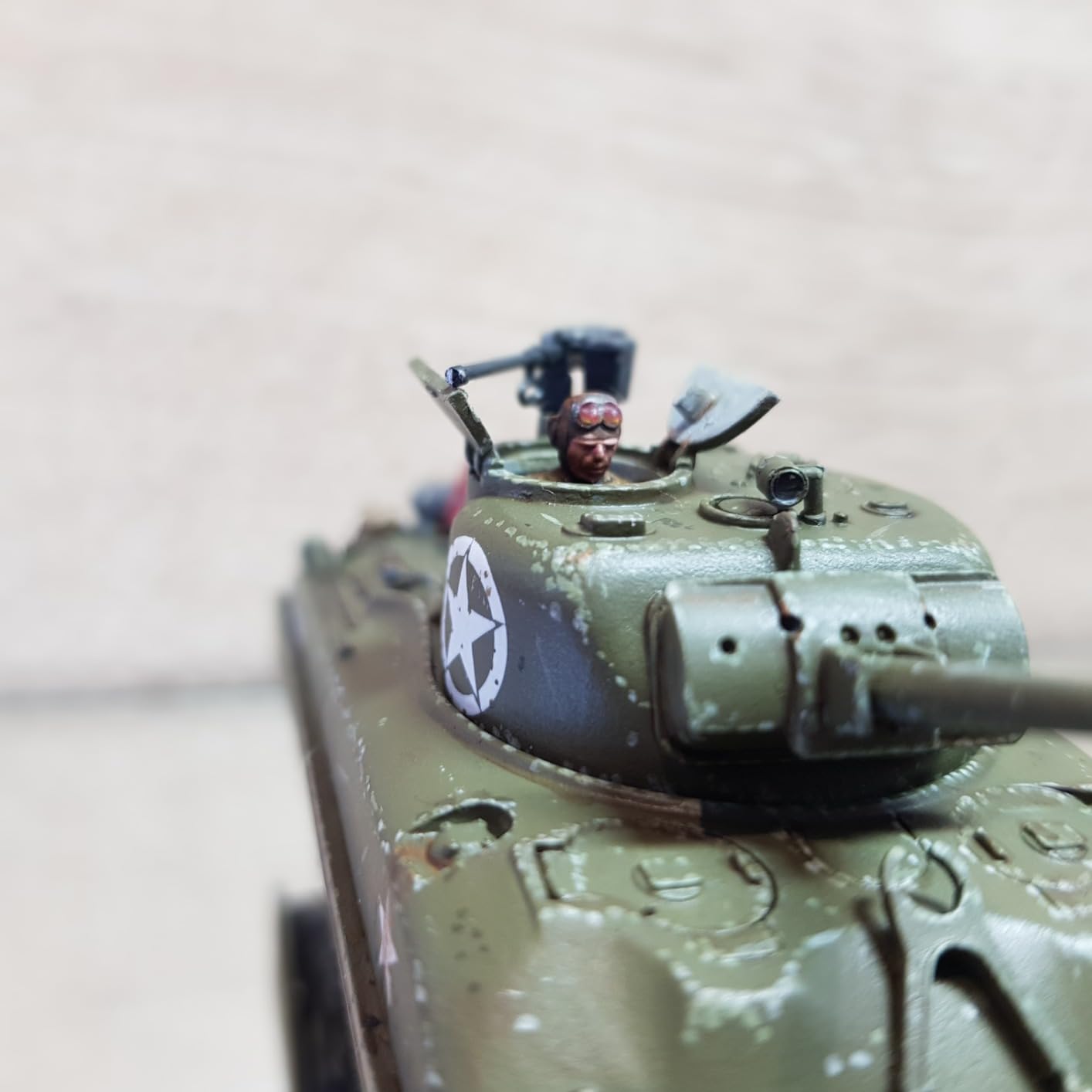 Excellent petit Sherman