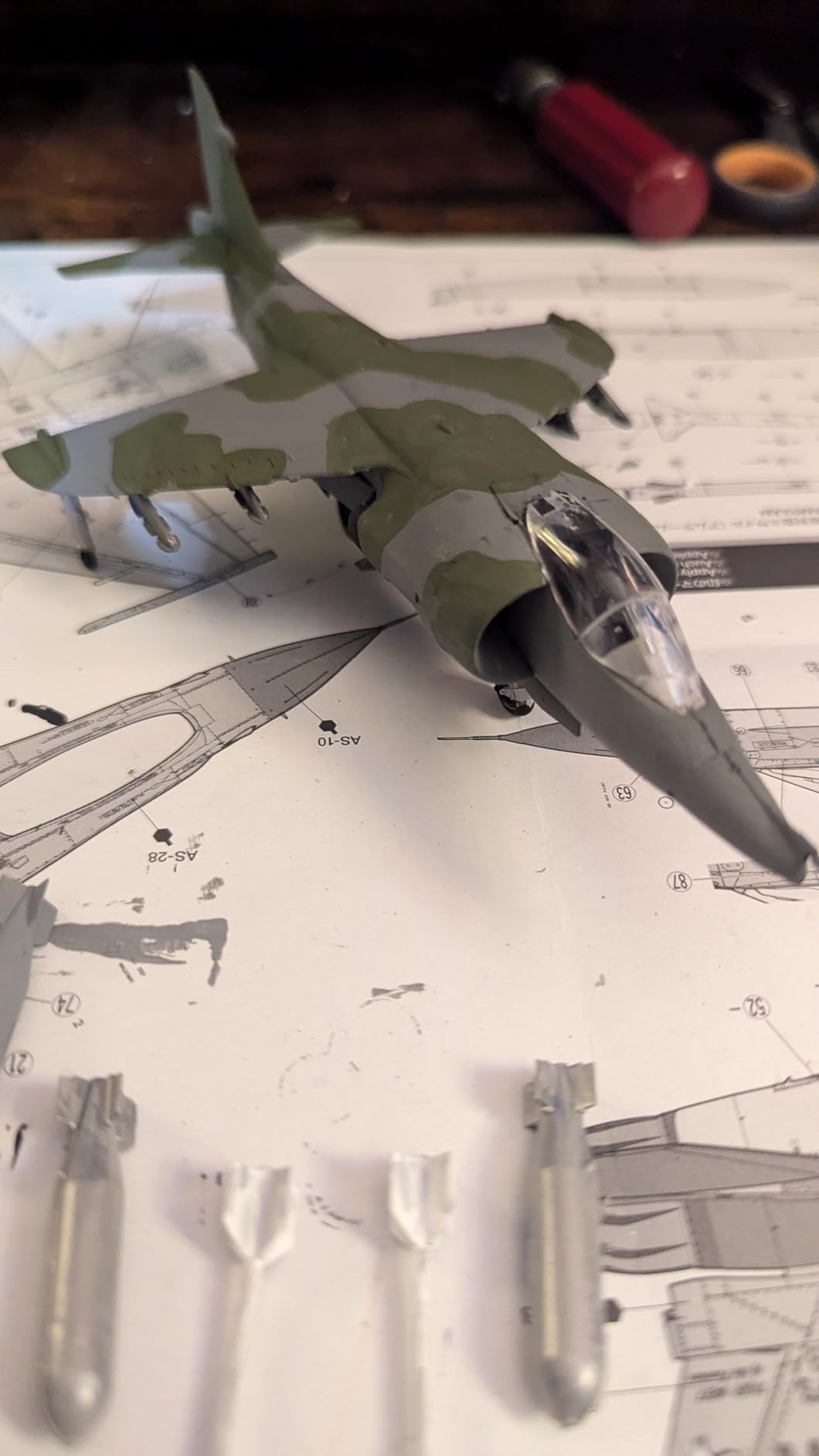 Magnifique Harrier