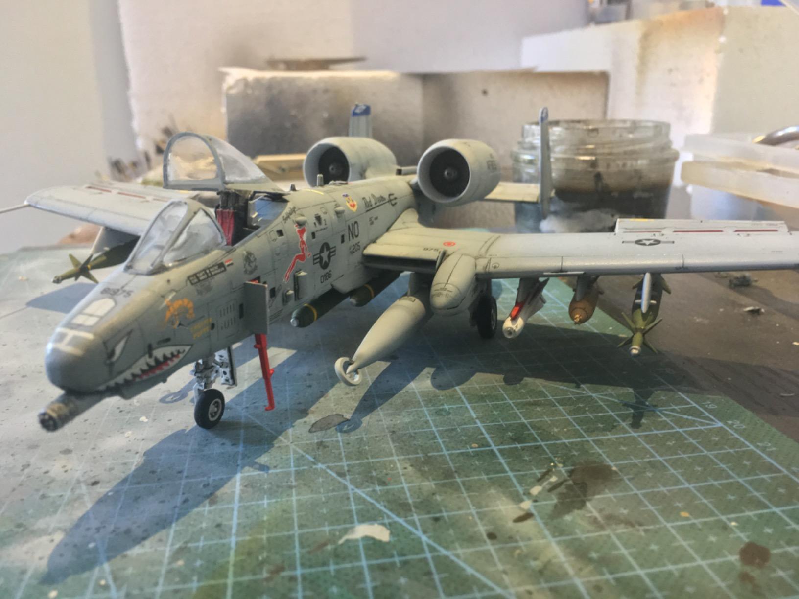 Petit Warthog sympa