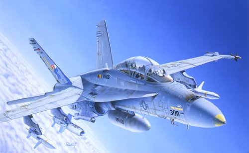 italeri-i016-f-a-18c-d-wild-weasel-maquette-aviation-1-72 image 3
