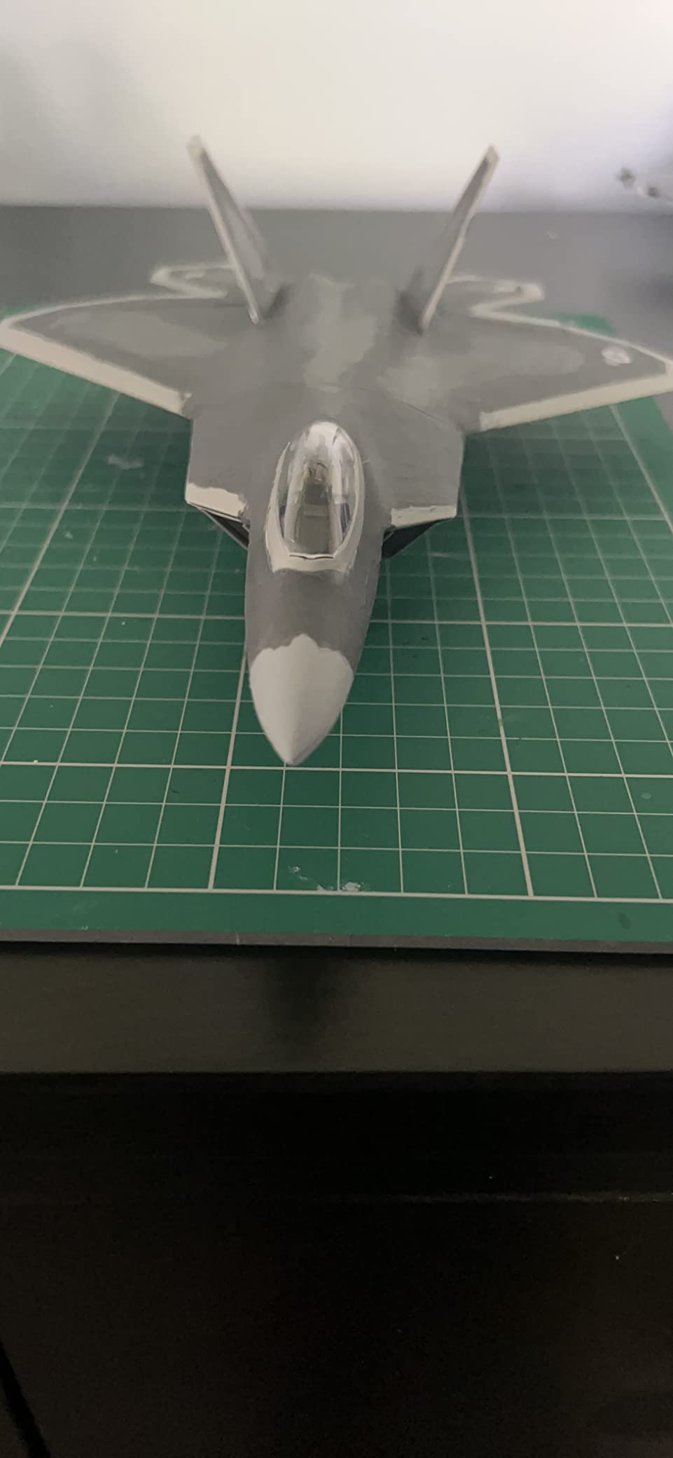 Raptor superbe