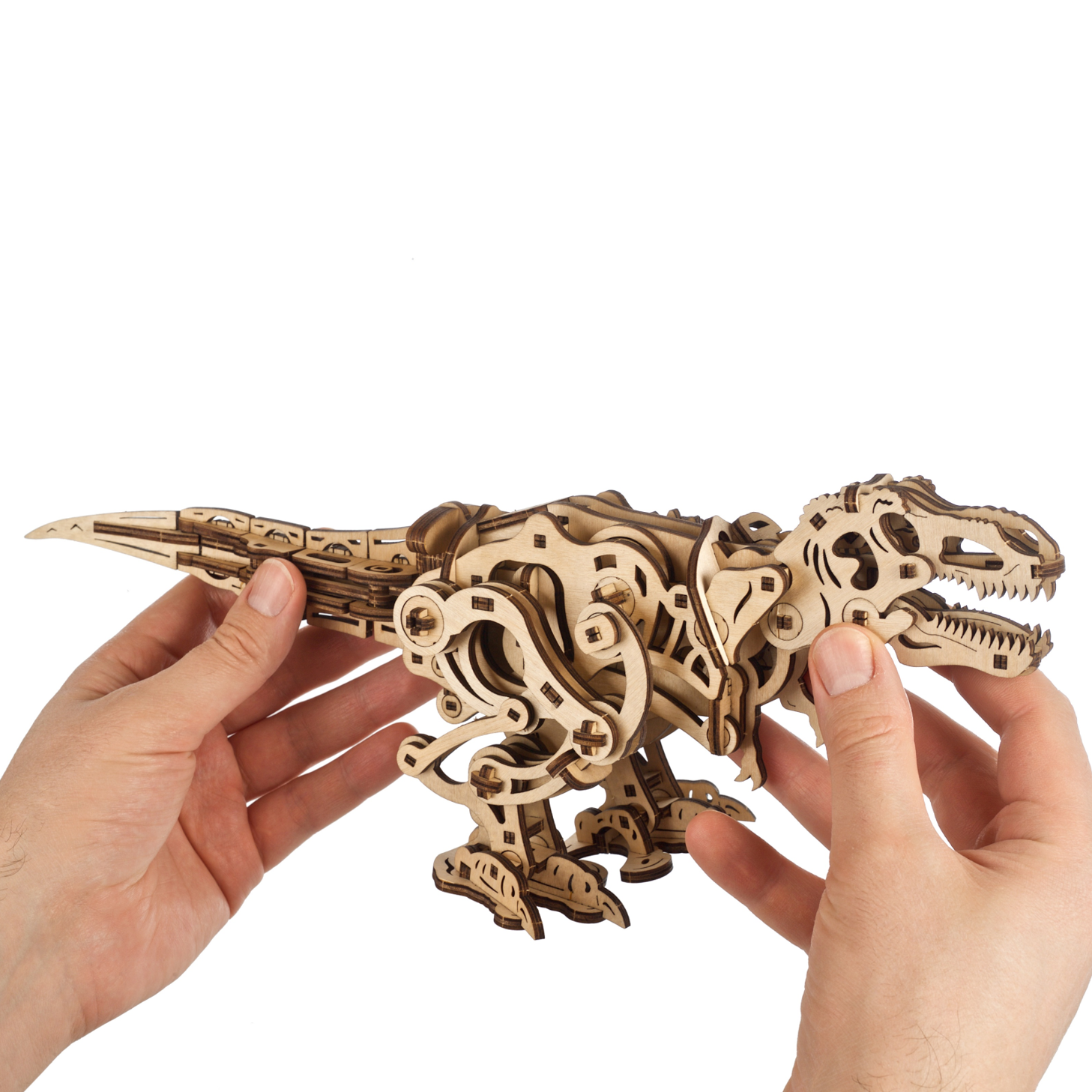 ugears-tyrannosaurus-rex-maquette-bois-m-canique-automate image 4